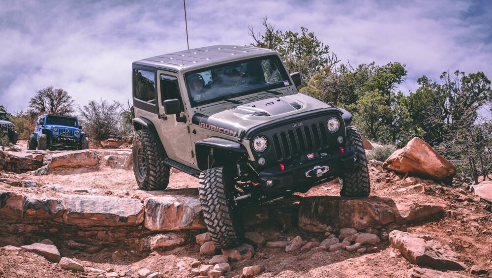 the-mule-wrangler