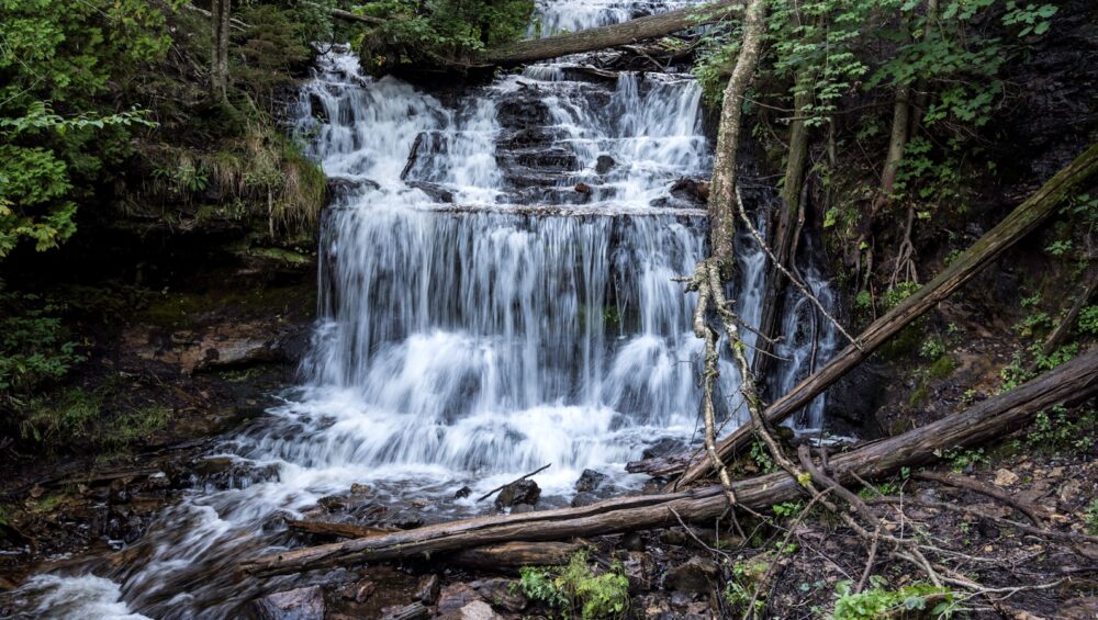 hatchery-creek,-revisited
